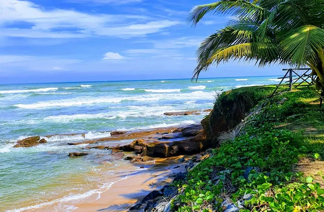 The coast near Accra